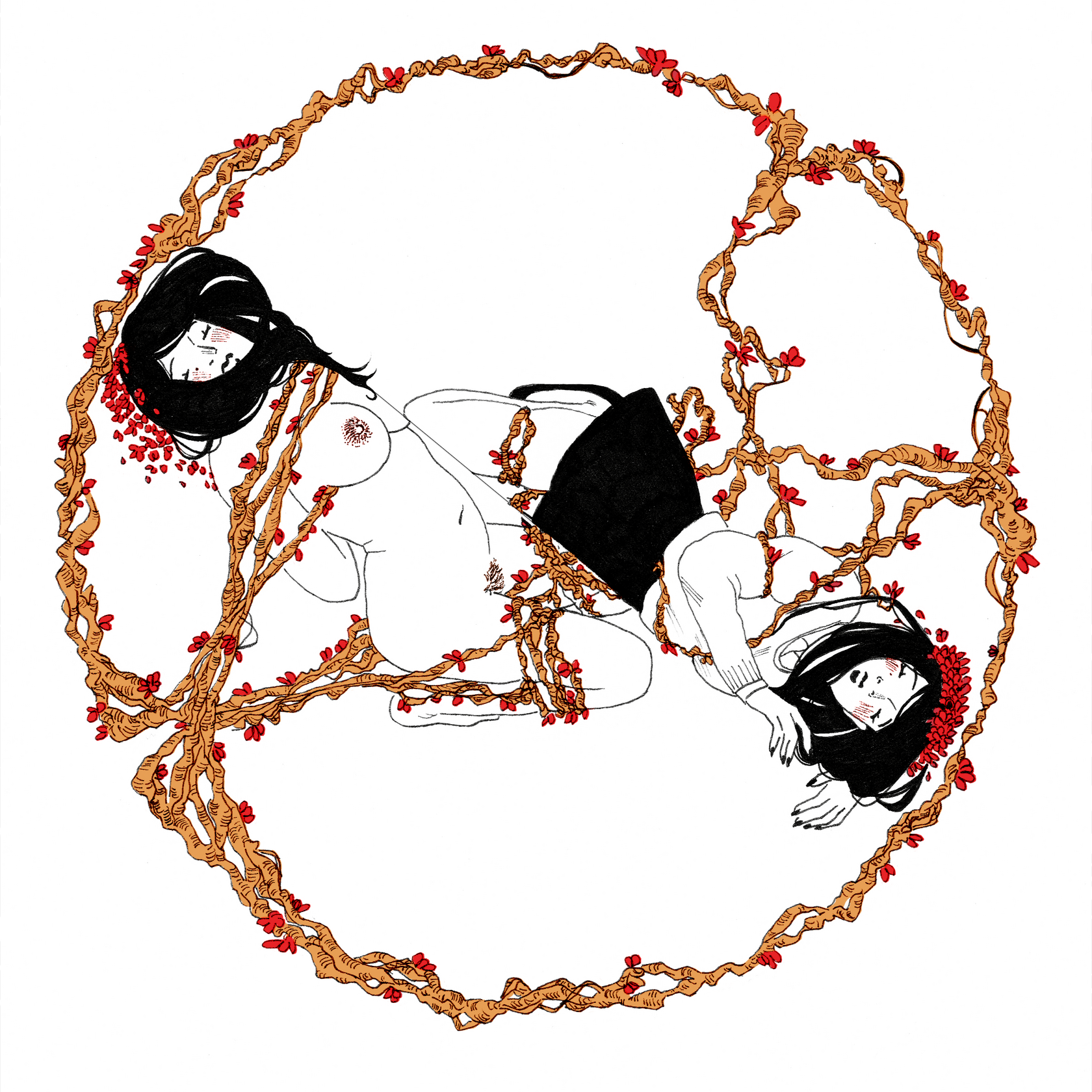 "shibari" "shibari"