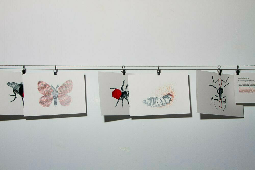 exposition exposition