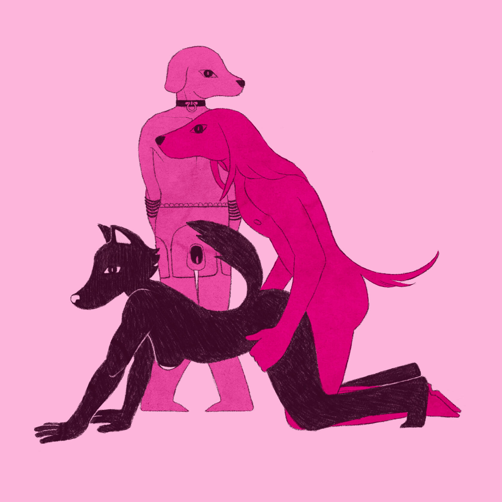 "envy"