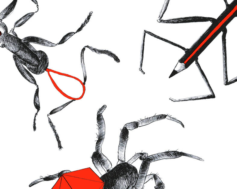 insectos